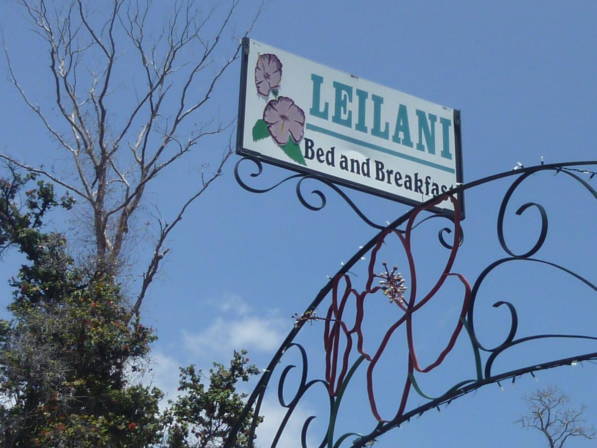 הוואיאן אושן וויו Leilani Bed And Breakfast מראה חיצוני תמונה